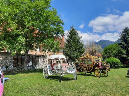 Otvoritev Gradu Dvor (5)